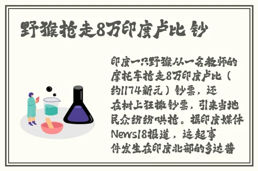 双男主共享一女主姓聂